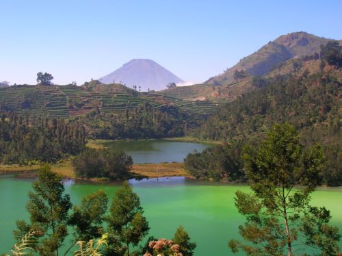 Dieng Plateau, Java (2)